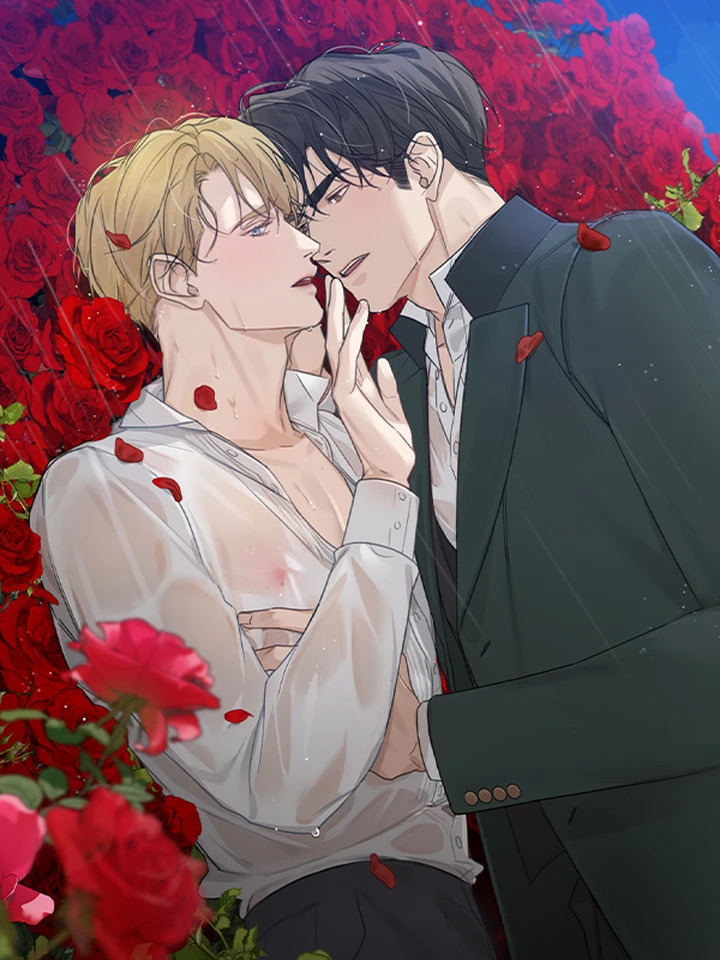 Into the Rose Garden